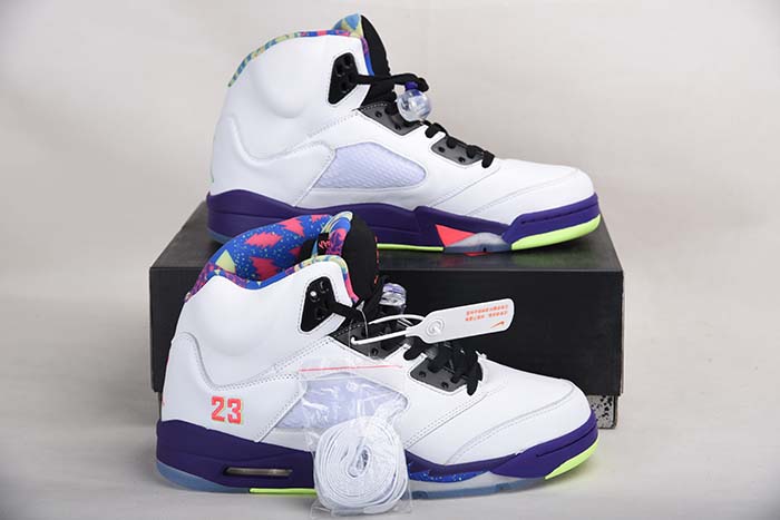 Air Jordan 5 “Alternate Bel-Air” DB3335-100
