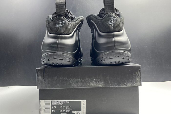 Nike Air Foamposite One Anthracite 314996 001