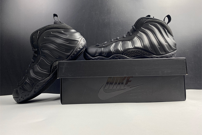 Nike Air Foamposite One Anthracite 314996 001