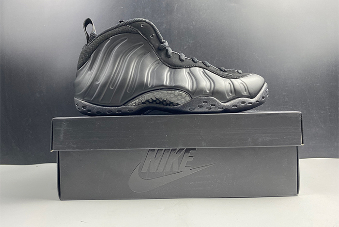 Nike Air Foamposite One Anthracite 314996 001