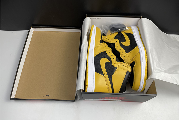 Air Jordan 1 Retro High OG Pollen-555088-701