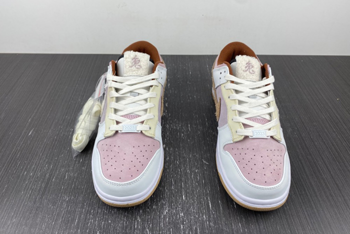 Nike Dunk Low FD4203-211