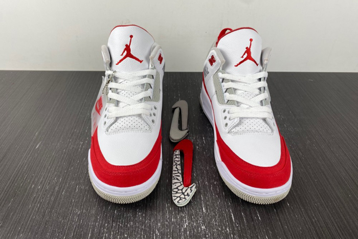 Air Jordan 3 Retro TH SP