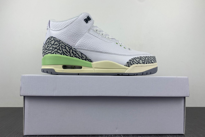 Air Dark Mocha AJ3 CK9246-102
