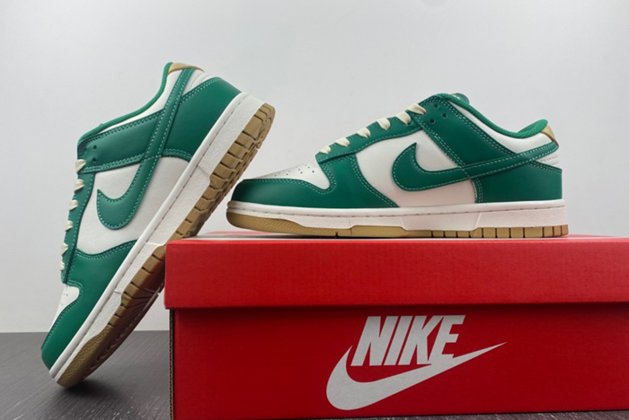 Nike Dunk Low FB7173-131