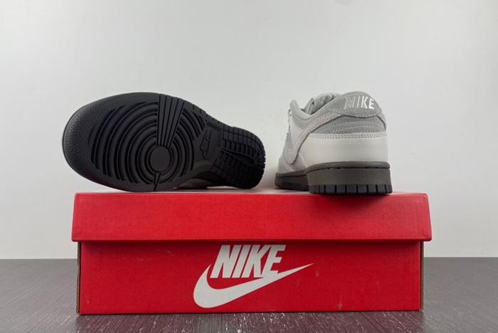 Nike Dunk Low Ironstone FD9746-001