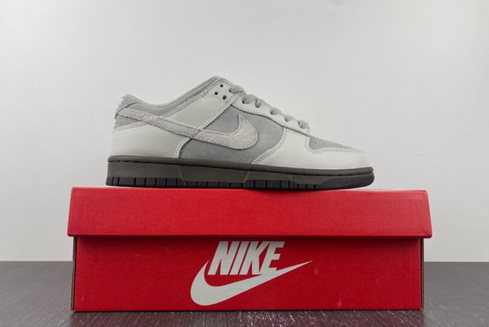 Nike Dunk Low Ironstone FD9746-001