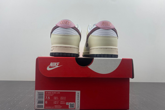 5K1Nike Dunk Low DD1503-117