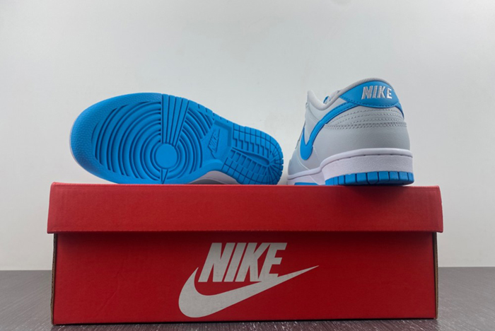 NIKE Dunk Low Retro DV0831-001