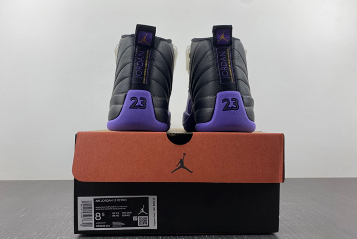Air Jordan 12 Field Purple