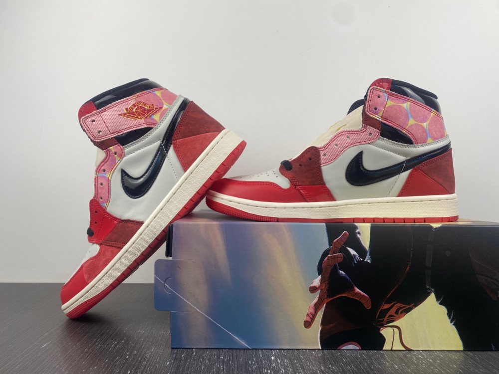 Air Jordan 1 DV1748-601