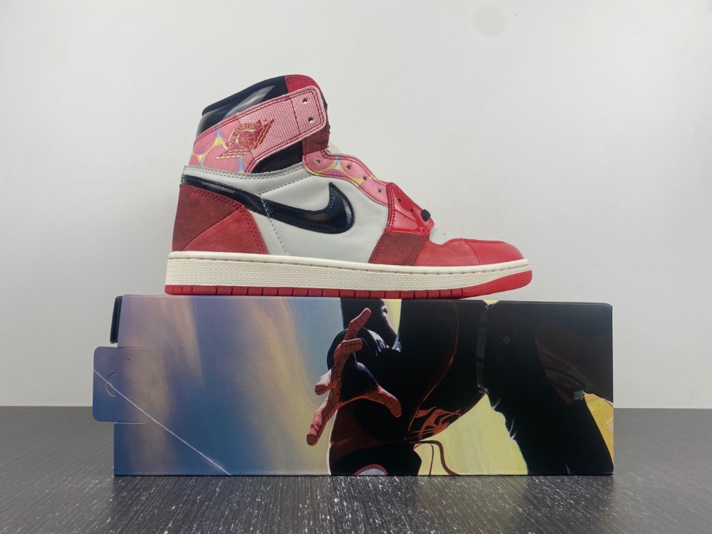 Air Jordan 1 DV1748-601