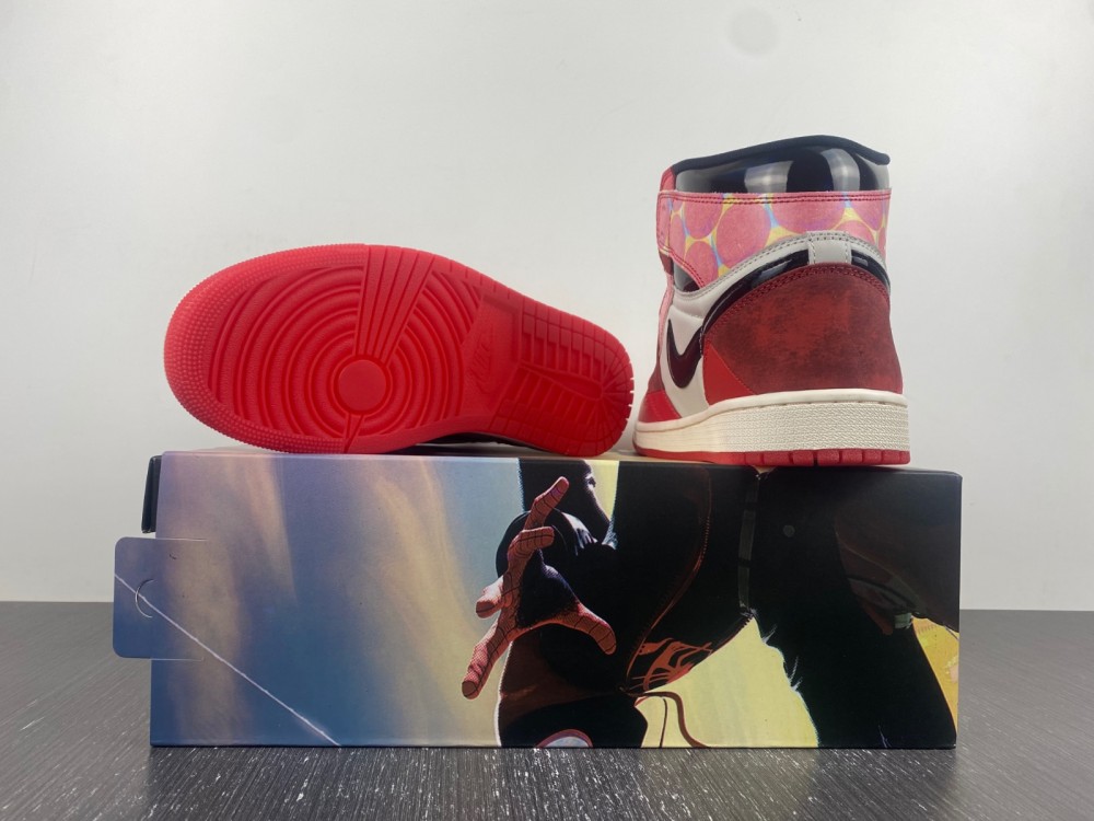 Air Jordan 1 DV1748-601