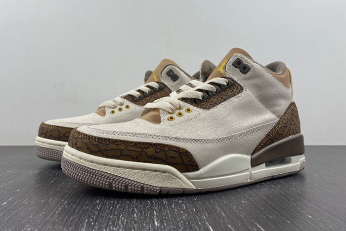 Air Jordan 3 “Palomino”CT8532-102