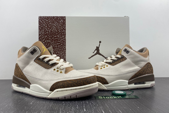 Air Jordan 3 “Palomino”CT8532-102