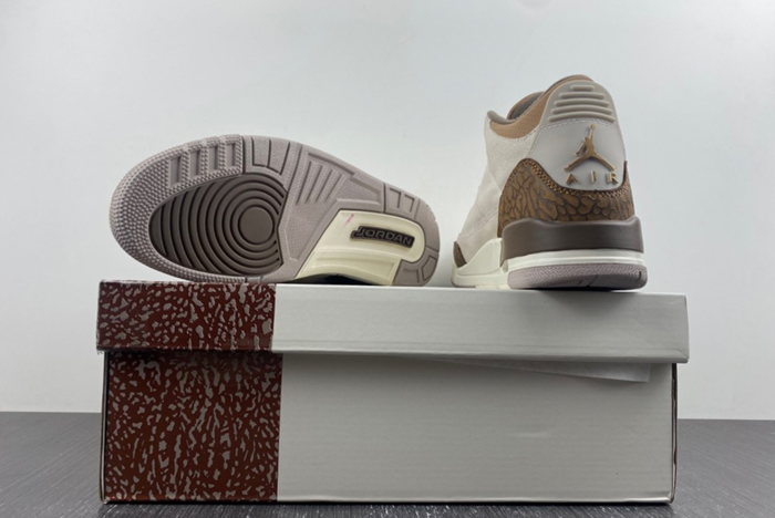 Air Jordan 3 “Palomino”CT8532-102