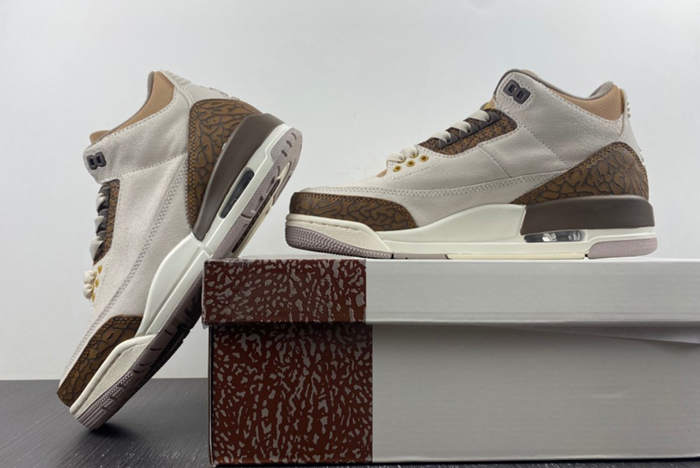 Air Jordan 3 “Palomino”CT8532-102