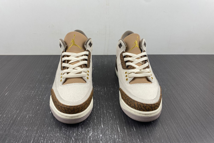 Air Jordan 3 “Palomino”CT8532-102