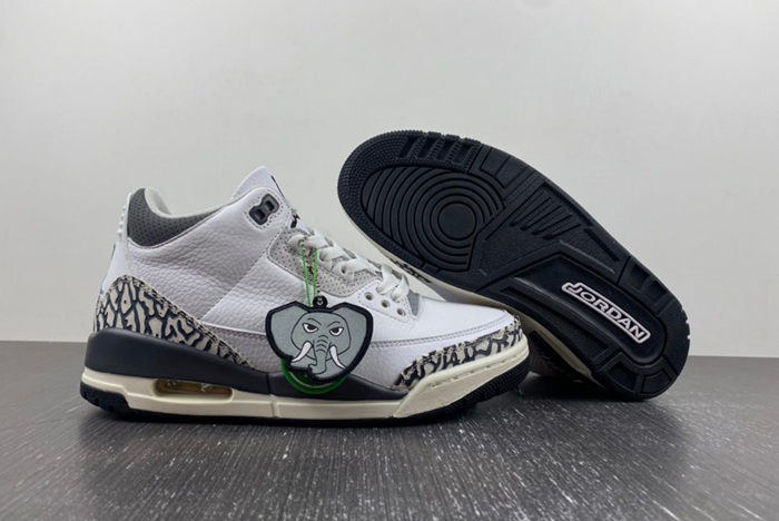 Air Jordan 3 GS “Hide N’ Sneak DX6665-100