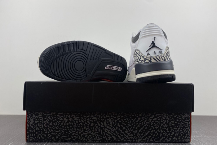 Air Jordan 3 GS “Hide N’ Sneak DX6665-100