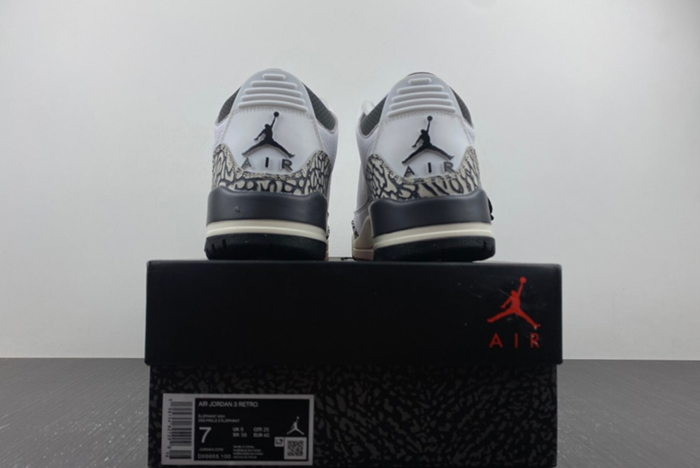 Air Jordan 3 GS “Hide N’ Sneak DX6665-100