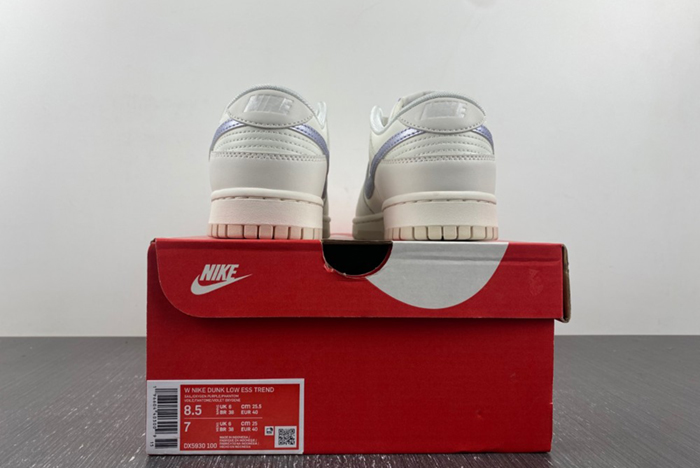 Nike Dunk Low Metallic Purple DX5930-100