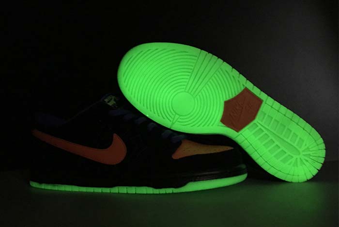 NIKE SB DUNK LOW PRO
