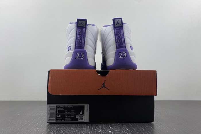 Air Jordan 12 CT8013-150