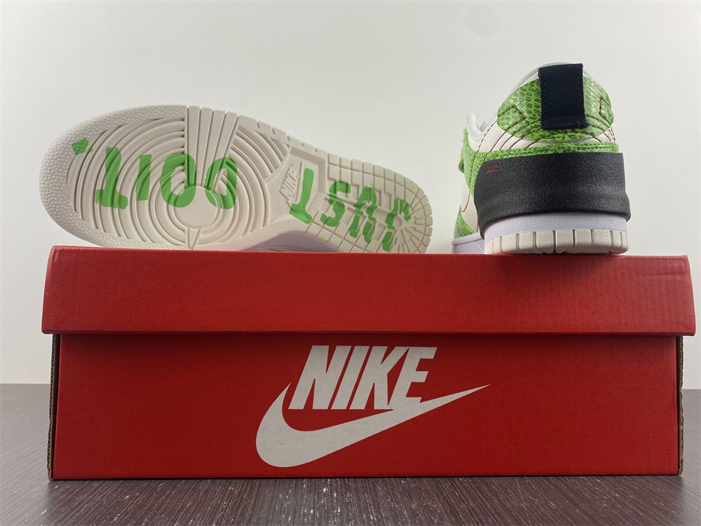 Nike Dunk Low Disrupt DV1491-101