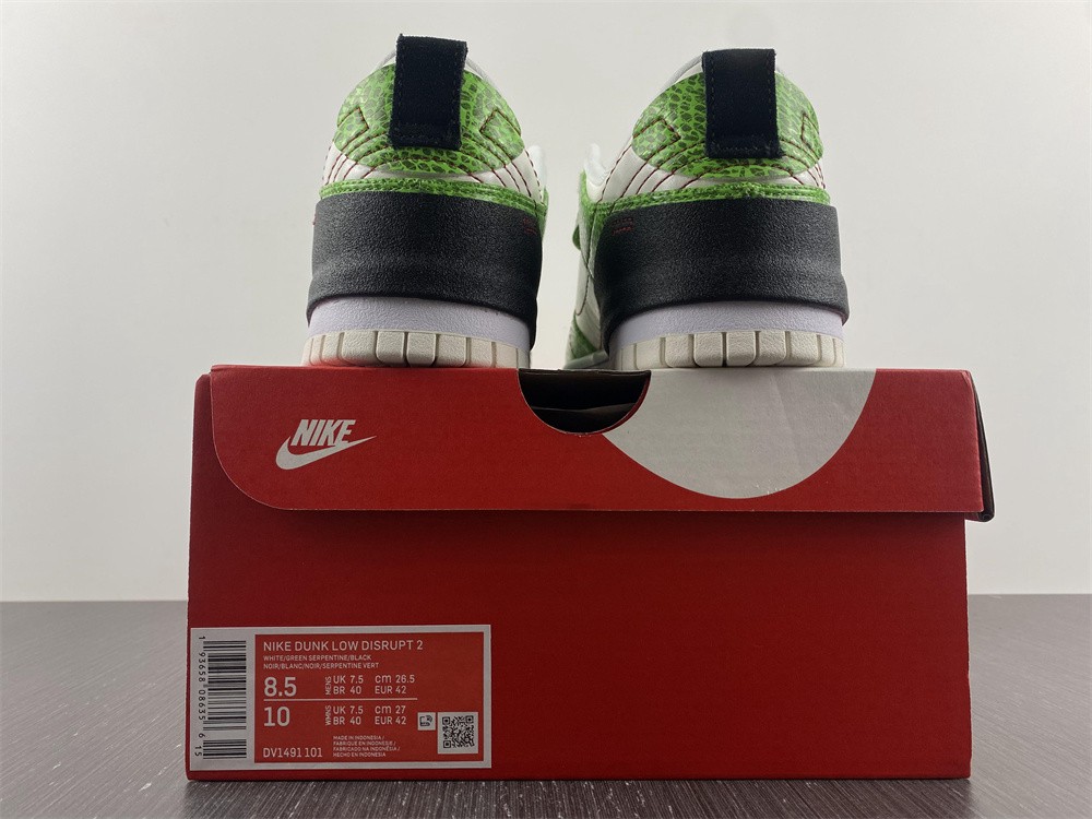 Nike Dunk Low Disrupt DV1491-101