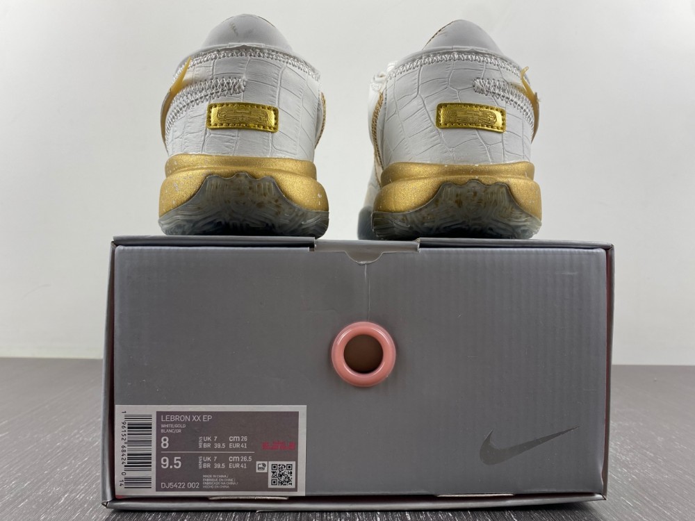 Nike LeBron 20 LBJ20 DJ5422-002