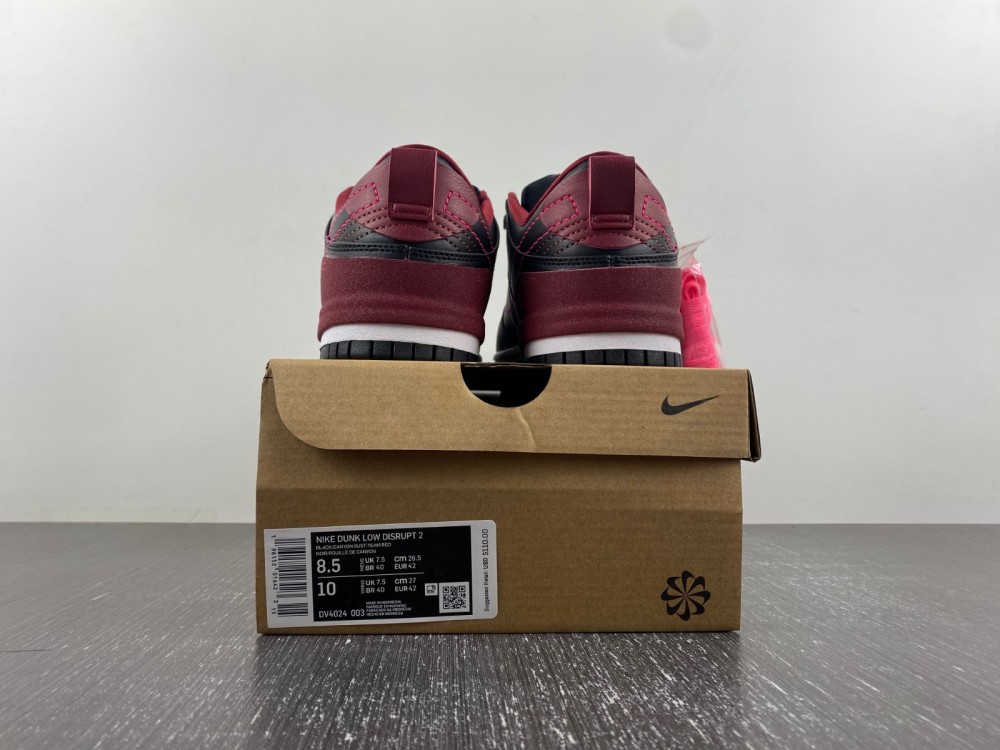 Nike SB Dunk Disrupt 2 DV4024-003