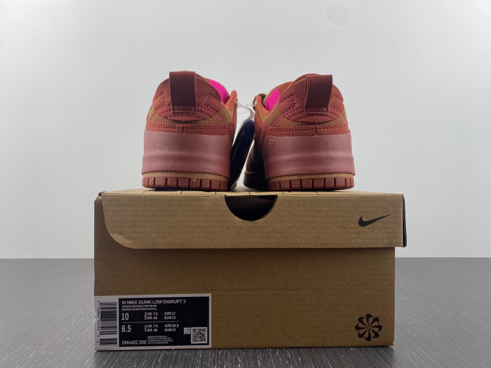 NIKE SB Dunk Low DH4402-200
