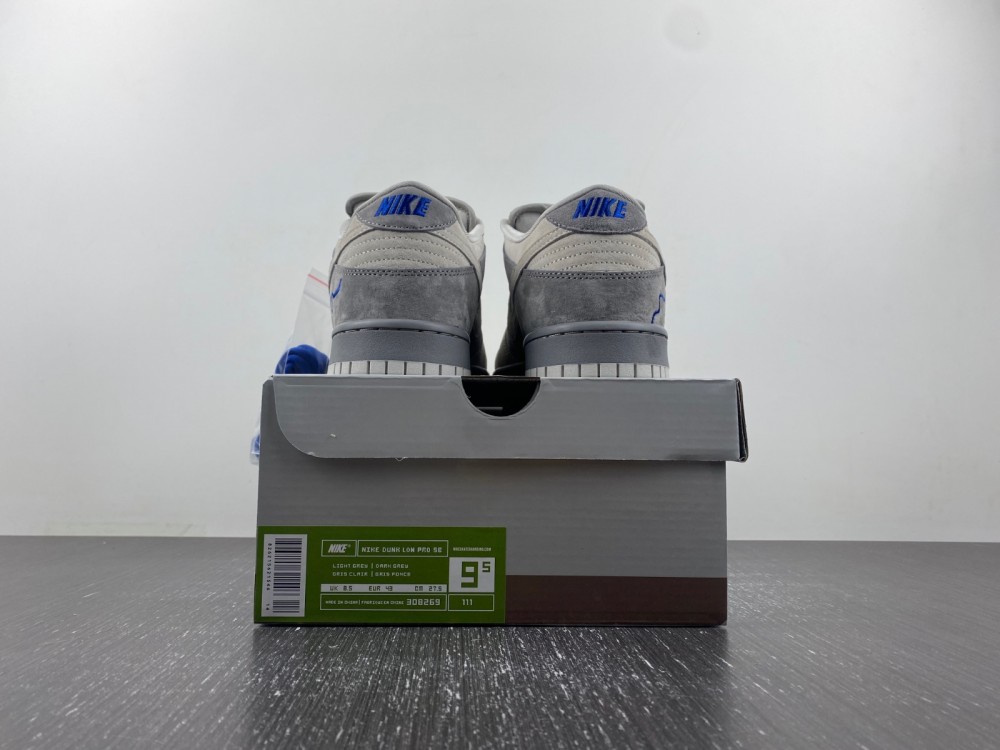 Nike SB Dunk Low TRUCK LTPACK