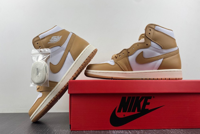 Air Jordan 1 High OG WMNS “Praline”FN6622-201