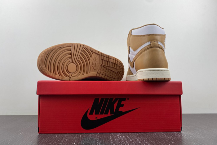 Air Jordan 1 High OG WMNS “Praline”FN6622-201