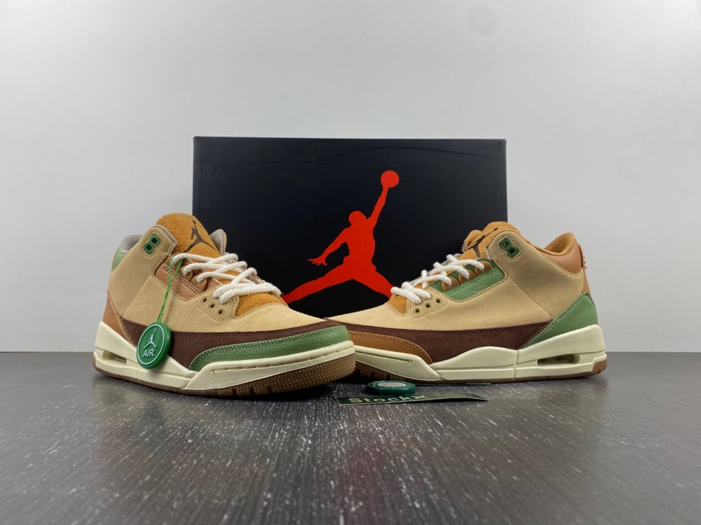 Air Jordan 3 brown green CT8532-160