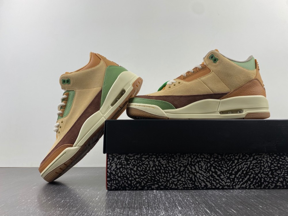 Air Jordan 3 brown green CT8532-160