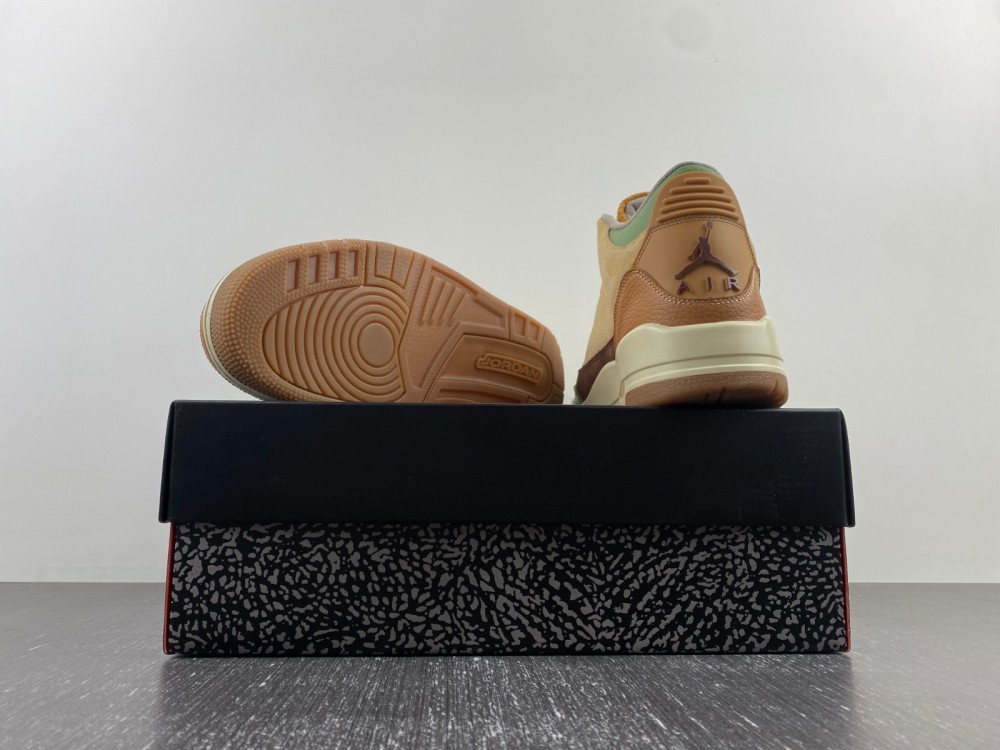 Air Jordan 3 brown green CT8532-160