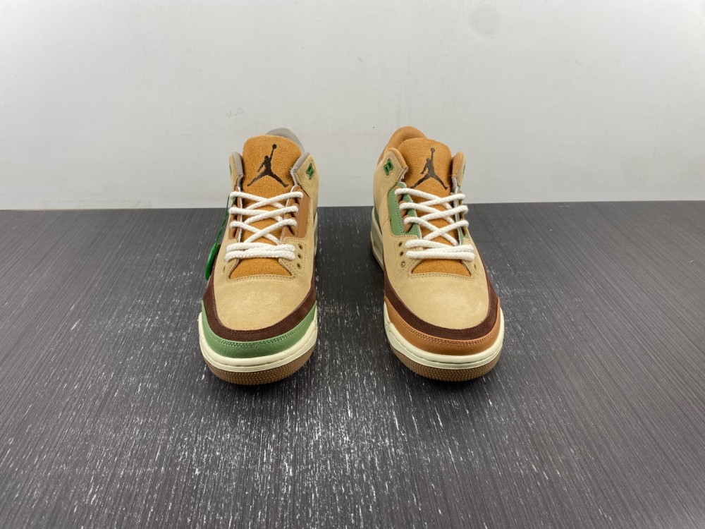 Air Jordan 3 brown green CT8532-160
