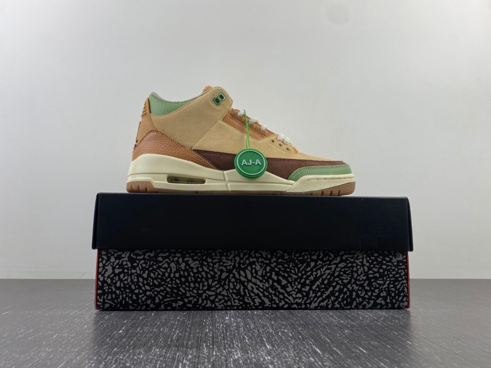 Air Jordan 3 brown green CT8532-160