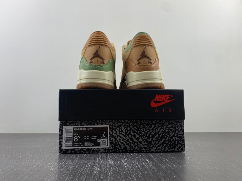 Air Jordan 3 brown green CT8532-160