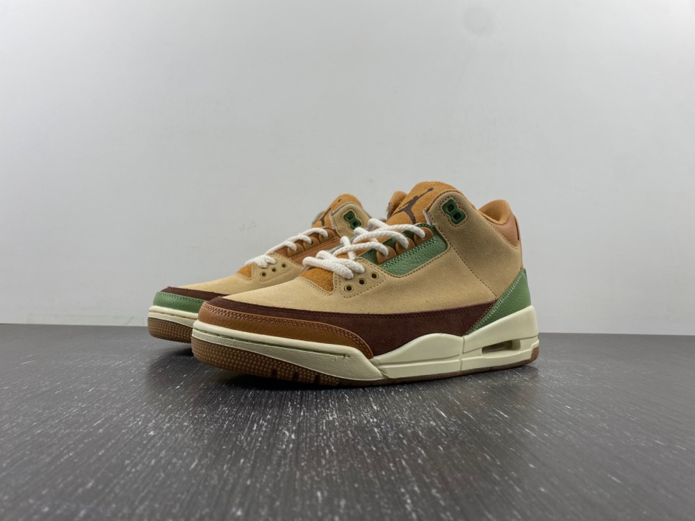 Air Jordan 3 brown green CT8532-160