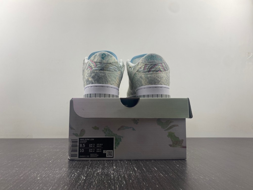 Nike dunk low new 2024 DV0831-101