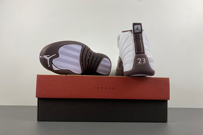 Air Jordan 12 SoleFly