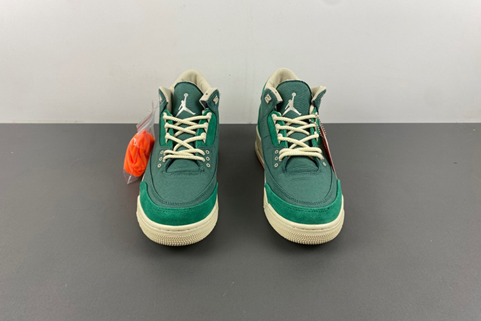 nina Ch*el abney x air jordan 3 og sp wmns