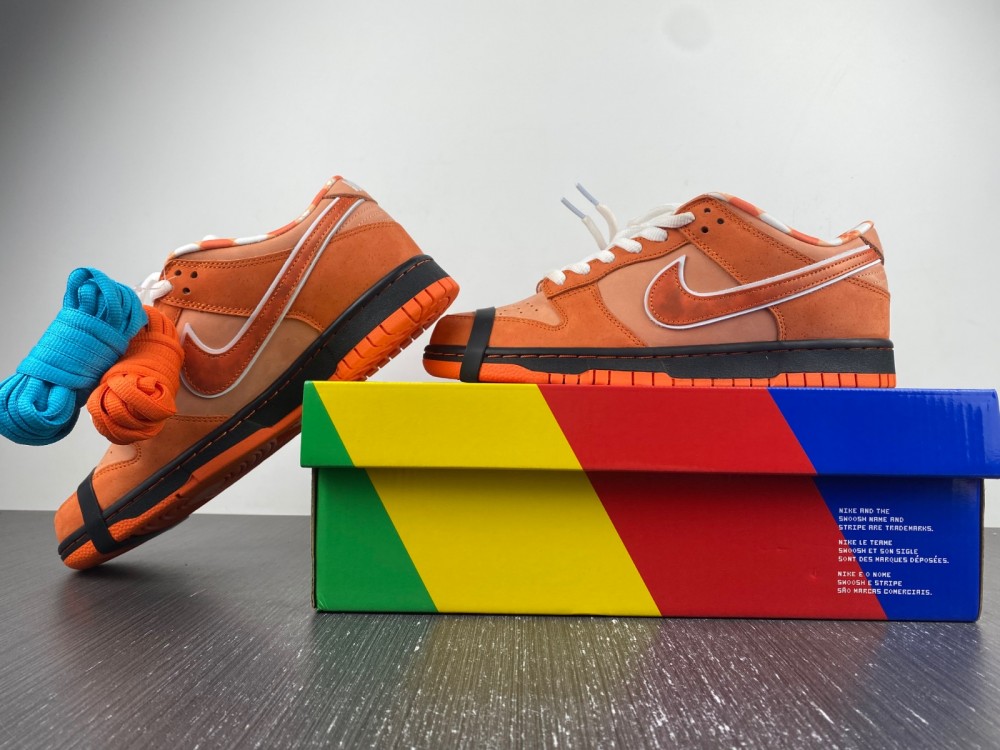 Concepts x Nike SB Dunk Low FD8776-800