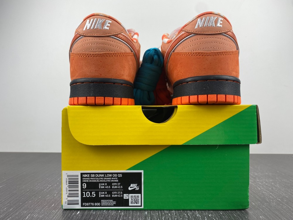 Concepts x Nike SB Dunk Low FD8776-800