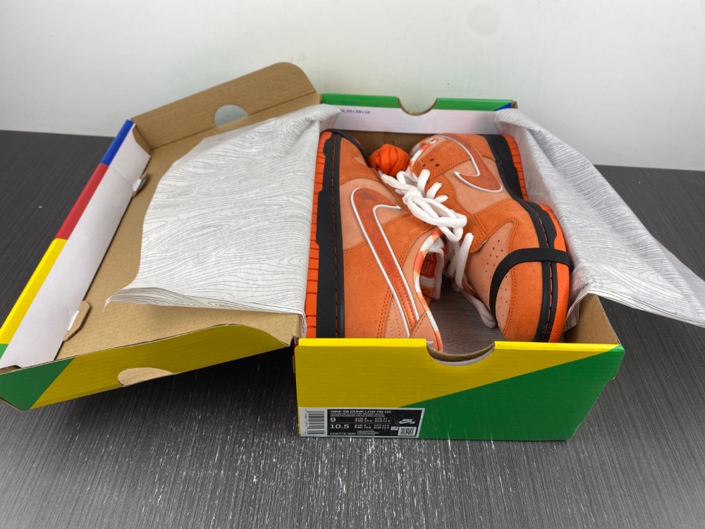 Concepts x Nike SB Dunk Low FD8776-800