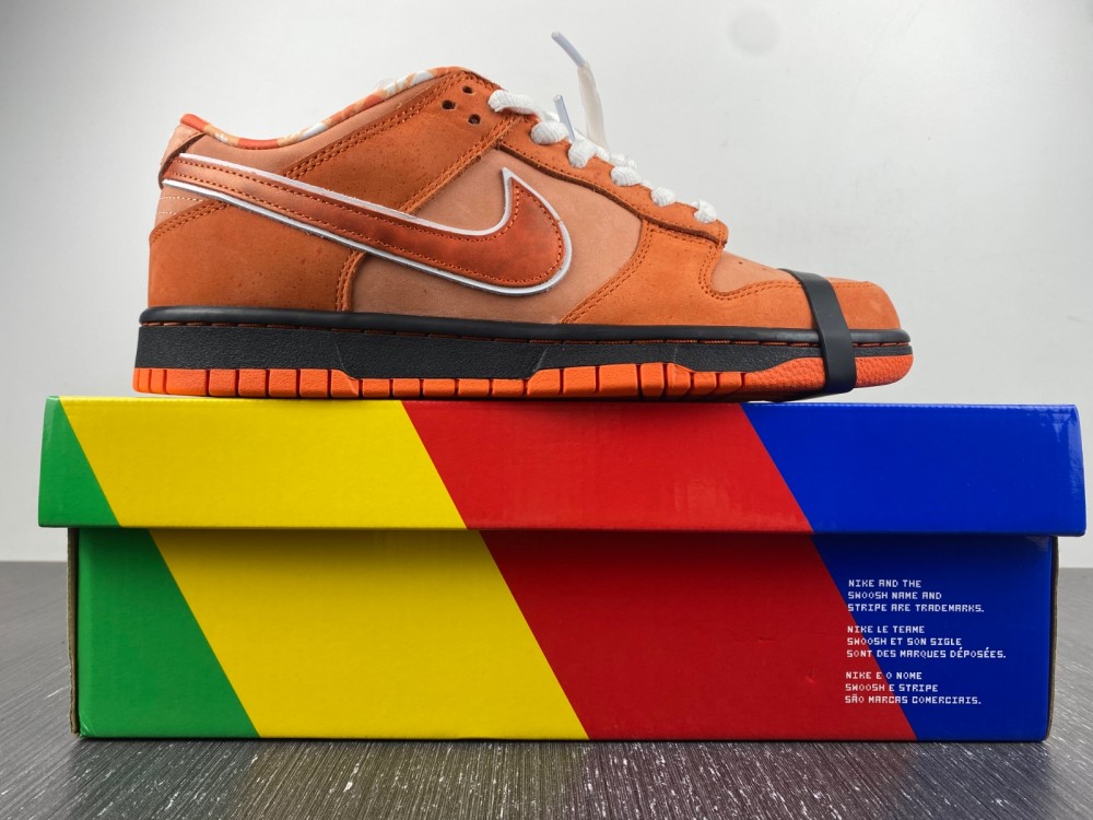 Concepts x Nike SB Dunk Low FD8776-800